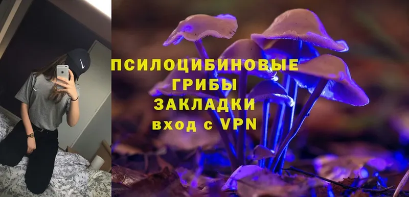 Псилоцибиновые грибы Magic Shrooms  купить   Полярные Зори 